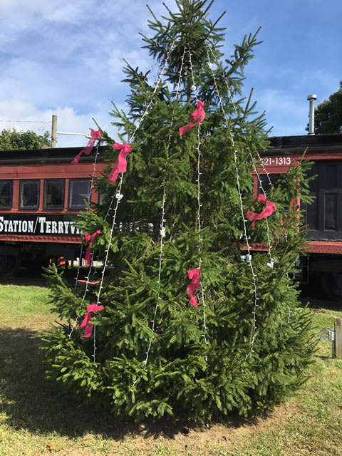 Painted Pink at the Train